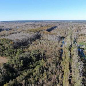 Photo of UNDER CONTRACT!!  350 Acres of Farm and Hunting Land For Sale in Columbus County NC!
