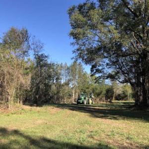 Photo of UNDER CONTRACT!!  350 Acres of Farm and Hunting Land For Sale in Columbus County NC!