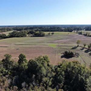 Photo of UNDER CONTRACT!!  350 Acres of Farm and Hunting Land For Sale in Columbus County NC!