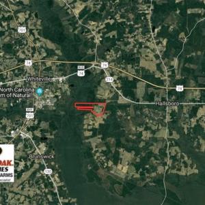 Photo of UNDER CONTRACT!!  350 Acres of Farm and Hunting Land For Sale in Columbus County NC!
