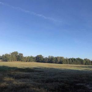 Photo of UNDER CONTRACT!!  350 Acres of Farm and Hunting Land For Sale in Columbus County NC!