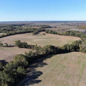 Photo of UNDER CONTRACT!!  350 Acres of Farm and Hunting Land For Sale in Columbus County NC!