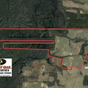 Photo of UNDER CONTRACT!!  350 Acres of Farm and Hunting Land For Sale in Columbus County NC!