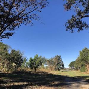 Photo of UNDER CONTRACT!!  350 Acres of Farm and Hunting Land For Sale in Columbus County NC!