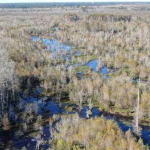 Photo of UNDER CONTRACT!!  350 Acres of Farm and Hunting Land For Sale in Columbus County NC!