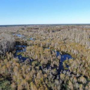 Photo of UNDER CONTRACT!!  350 Acres of Farm and Hunting Land For Sale in Columbus County NC!