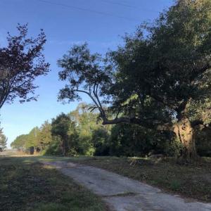 Photo of UNDER CONTRACT!!  350 Acres of Farm and Hunting Land For Sale in Columbus County NC!