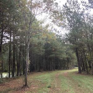 Photo of UNDER CONTRACT!!  350 Acres of Farm and Hunting Land For Sale in Columbus County NC!