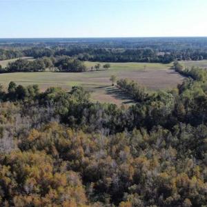 Photo of UNDER CONTRACT!!  350 Acres of Farm and Hunting Land For Sale in Columbus County NC!
