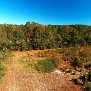 Photo of SOLD!!  58 Acres of Farm and Timber Land For Sale in Scotland County NC!