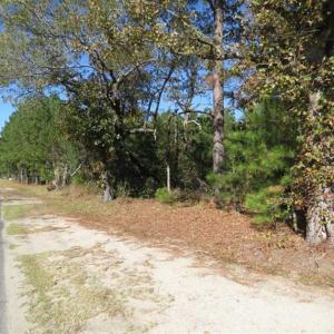 Photo of SOLD!!  58 Acres of Farm and Timber Land For Sale in Scotland County NC!