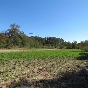 Photo of SOLD!!  58 Acres of Farm and Timber Land For Sale in Scotland County NC!