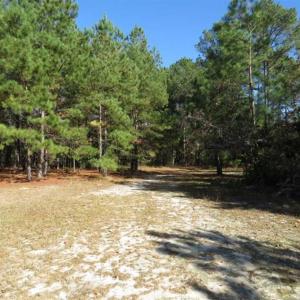 Photo of SOLD!!  58 Acres of Farm and Timber Land For Sale in Scotland County NC!