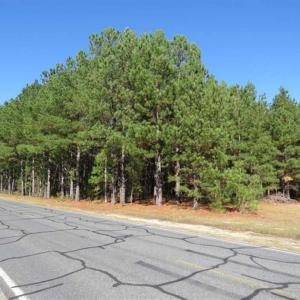 Photo of SOLD!!  58 Acres of Farm and Timber Land For Sale in Scotland County NC!