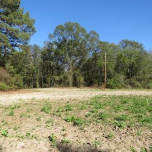 Photo of SOLD!!  58 Acres of Farm and Timber Land For Sale in Scotland County NC!