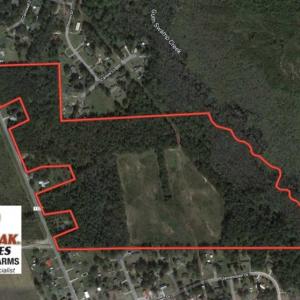 Photo of SOLD!!  58 Acres of Farm and Timber Land For Sale in Scotland County NC!