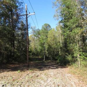 Photo of SOLD!!  58 Acres of Farm and Timber Land For Sale in Scotland County NC!