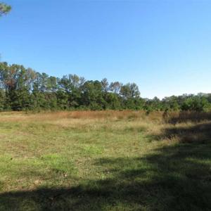 Photo of SOLD!!  58 Acres of Farm and Timber Land For Sale in Scotland County NC!