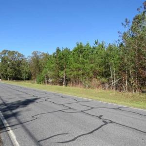Photo of SOLD!!  58 Acres of Farm and Timber Land For Sale in Scotland County NC!