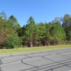 Photo of SOLD!!  58 Acres of Farm and Timber Land For Sale in Scotland County NC!