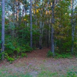 Photo of SOLD!!  2.19 Acre Lot Ready to Build in Washington County NC!