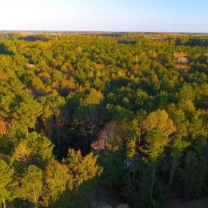 Photo of SOLD!!  2.19 Acre Lot Ready to Build in Washington County NC!