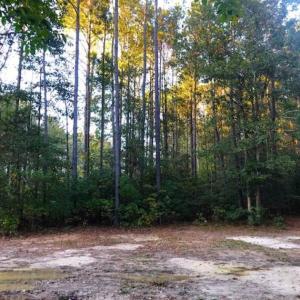 Photo of SOLD!!  2.19 Acre Lot Ready to Build in Washington County NC!