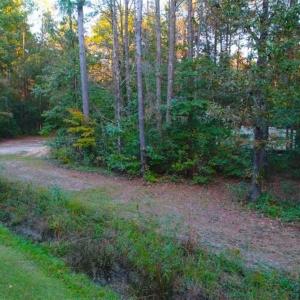 Photo of SOLD!!  2.19 Acre Lot Ready to Build in Washington County NC!
