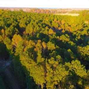Photo of SOLD!!  2.19 Acre Lot Ready to Build in Washington County NC!