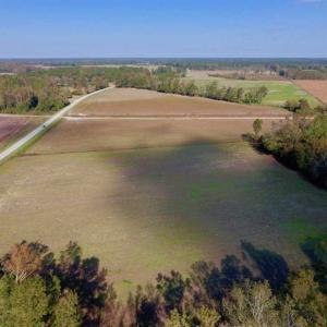 Photo of SOLD!!  164.75 Acres of Farm and Timber Land For Sale in Craven County NC!
