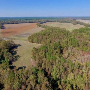 Photo of SOLD!!  164.75 Acres of Farm and Timber Land For Sale in Craven County NC!