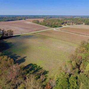 Photo of SOLD!!  164.75 Acres of Farm and Timber Land For Sale in Craven County NC!