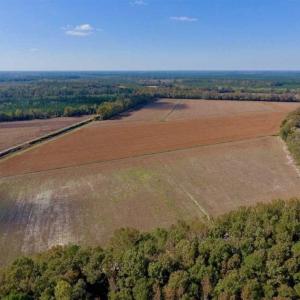 Photo of SOLD!!  164.75 Acres of Farm and Timber Land For Sale in Craven County NC!