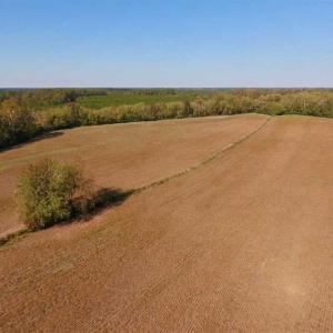 Photo of SOLD!!  164.75 Acres of Farm and Timber Land For Sale in Craven County NC!