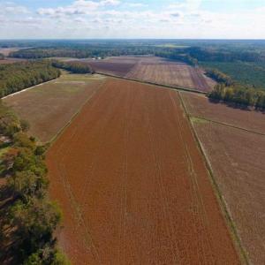 Photo of SOLD!!  164.75 Acres of Farm and Timber Land For Sale in Craven County NC!