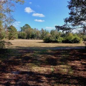 Photo of SOLD!!  164.75 Acres of Farm and Timber Land For Sale in Craven County NC!
