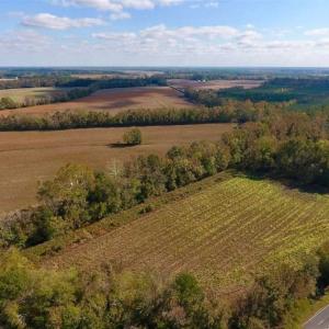 Photo of SOLD!!  164.75 Acres of Farm and Timber Land For Sale in Craven County NC!