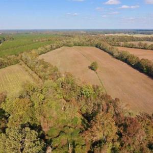 Photo of SOLD!!  164.75 Acres of Farm and Timber Land For Sale in Craven County NC!