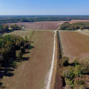 Photo of SOLD!!  164.75 Acres of Farm and Timber Land For Sale in Craven County NC!