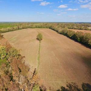 Photo of SOLD!!  164.75 Acres of Farm and Timber Land For Sale in Craven County NC!