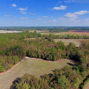 Photo of SOLD!!  164.75 Acres of Farm and Timber Land For Sale in Craven County NC!
