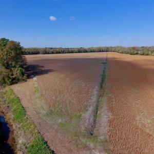 Photo of SOLD!!  164.75 Acres of Farm and Timber Land For Sale in Craven County NC!