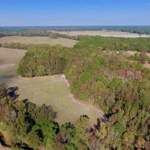 Photo of SOLD!!  164.75 Acres of Farm and Timber Land For Sale in Craven County NC!