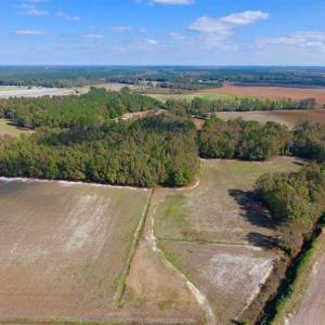 Photo of SOLD!!  164.75 Acres of Farm and Timber Land For Sale in Craven County NC!