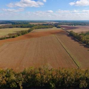 Photo of SOLD!!  164.75 Acres of Farm and Timber Land For Sale in Craven County NC!