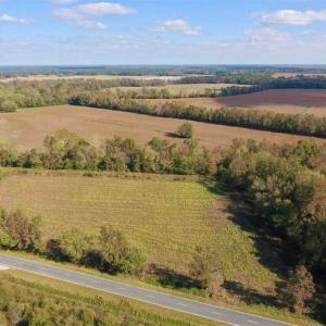 Photo of SOLD!!  164.75 Acres of Farm and Timber Land For Sale in Craven County NC!