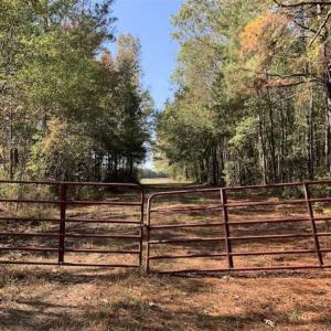 Photo of SOLD!!  164.75 Acres of Farm and Timber Land For Sale in Craven County NC!