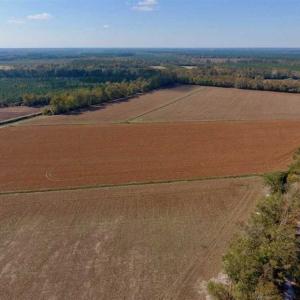 Photo of SOLD!!  164.75 Acres of Farm and Timber Land For Sale in Craven County NC!
