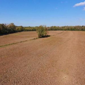 Photo of SOLD!!  164.75 Acres of Farm and Timber Land For Sale in Craven County NC!