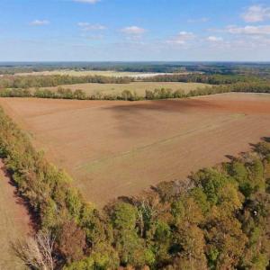Photo of SOLD!!  164.75 Acres of Farm and Timber Land For Sale in Craven County NC!